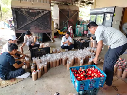 Peserta kursus mengisi media tanaman ke dalam bongkah.